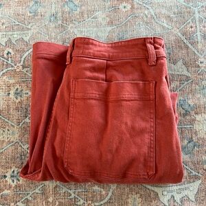 Everlane Wide Leg Rust 6